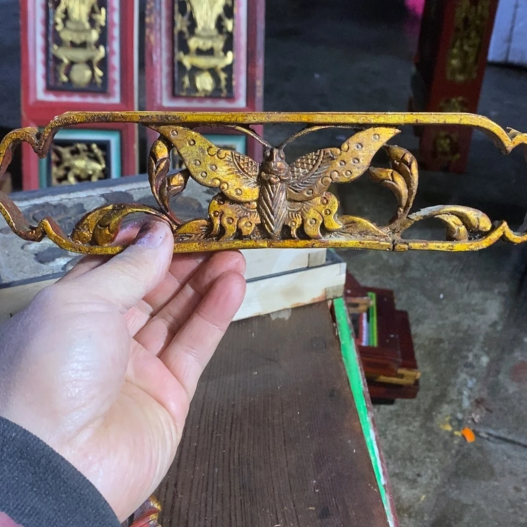真***糊香榧木是因为想看我是真的