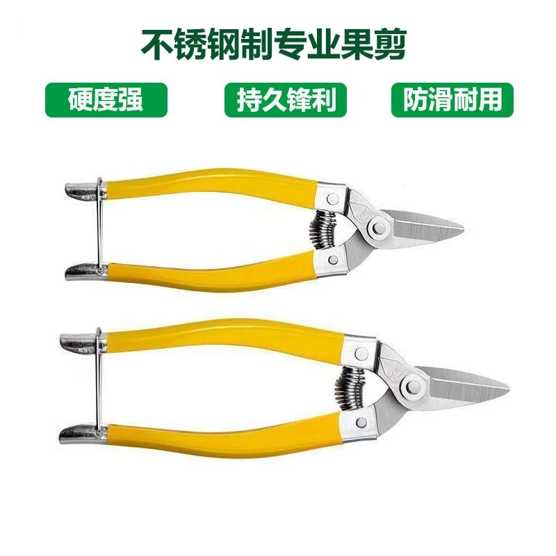 罗定果剪枝剪刀摘果剪修枝剪桔子剪葡萄剪修花剪稀果剪园艺采果剪