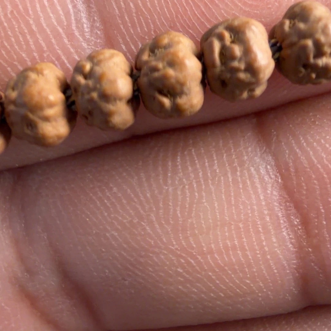 风***丶5.8五爪金龙原装佛手