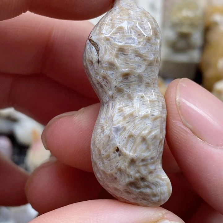 颈饰未镶嵌硅化珊瑚（珊瑚玉）