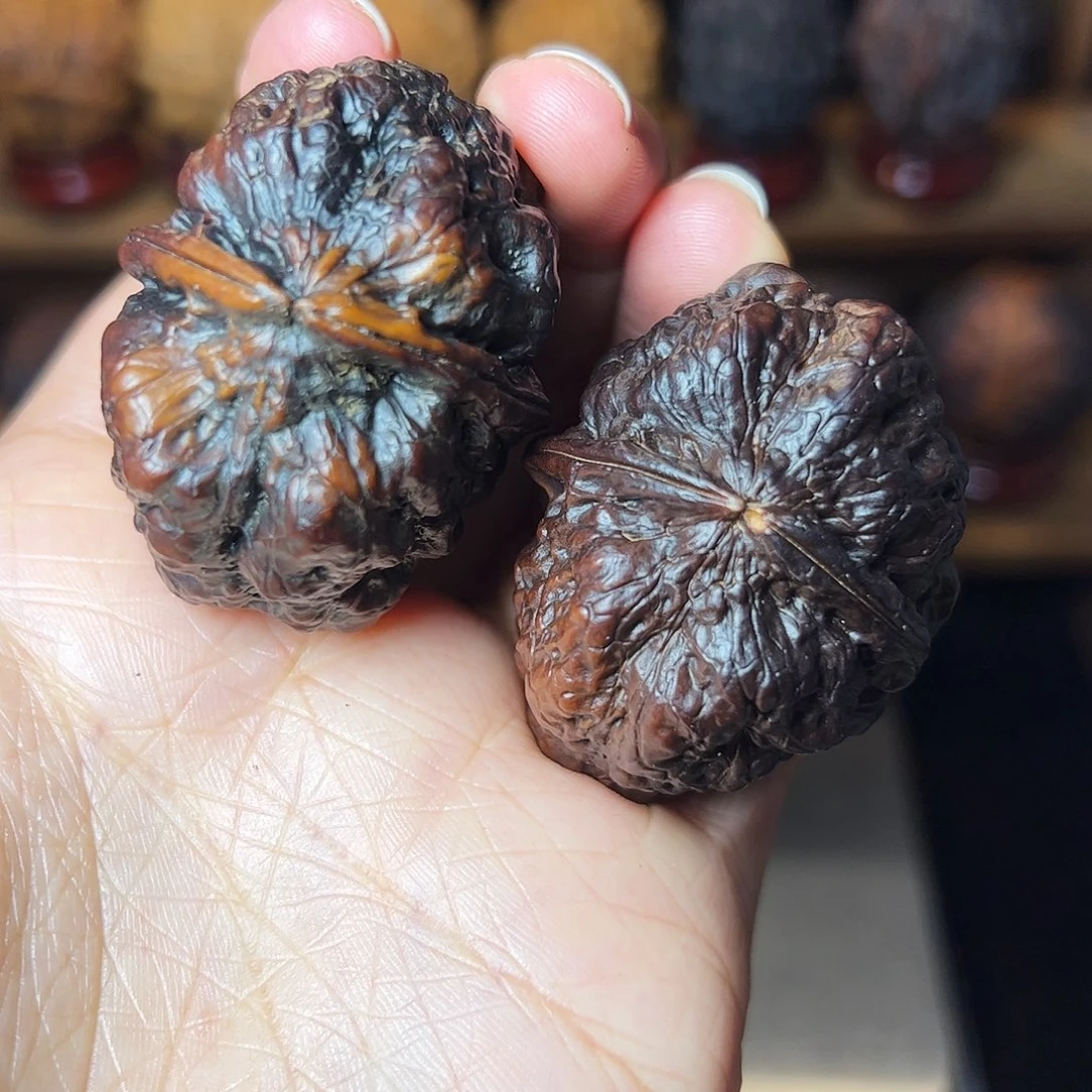 九五玄包       44+