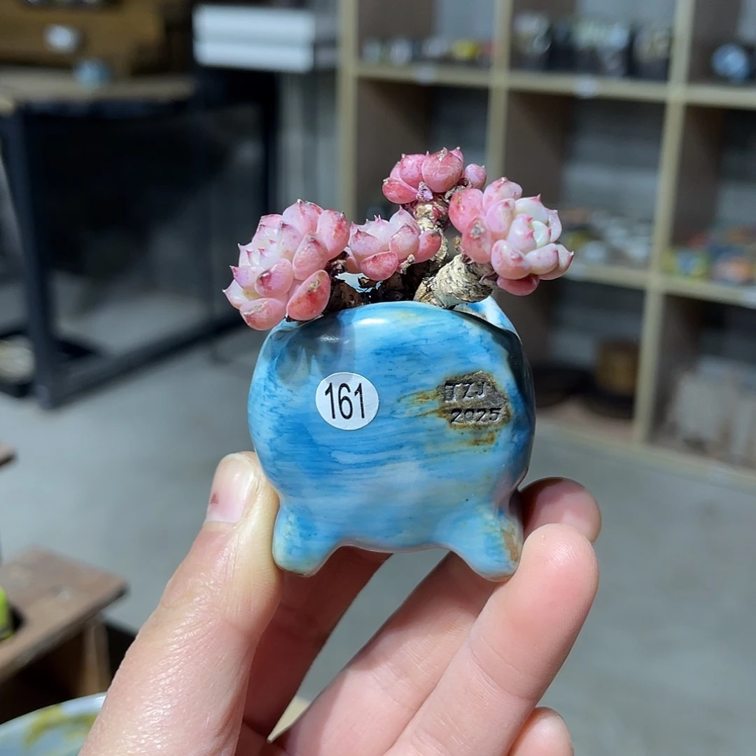 内口1.5-3高4厘米左右