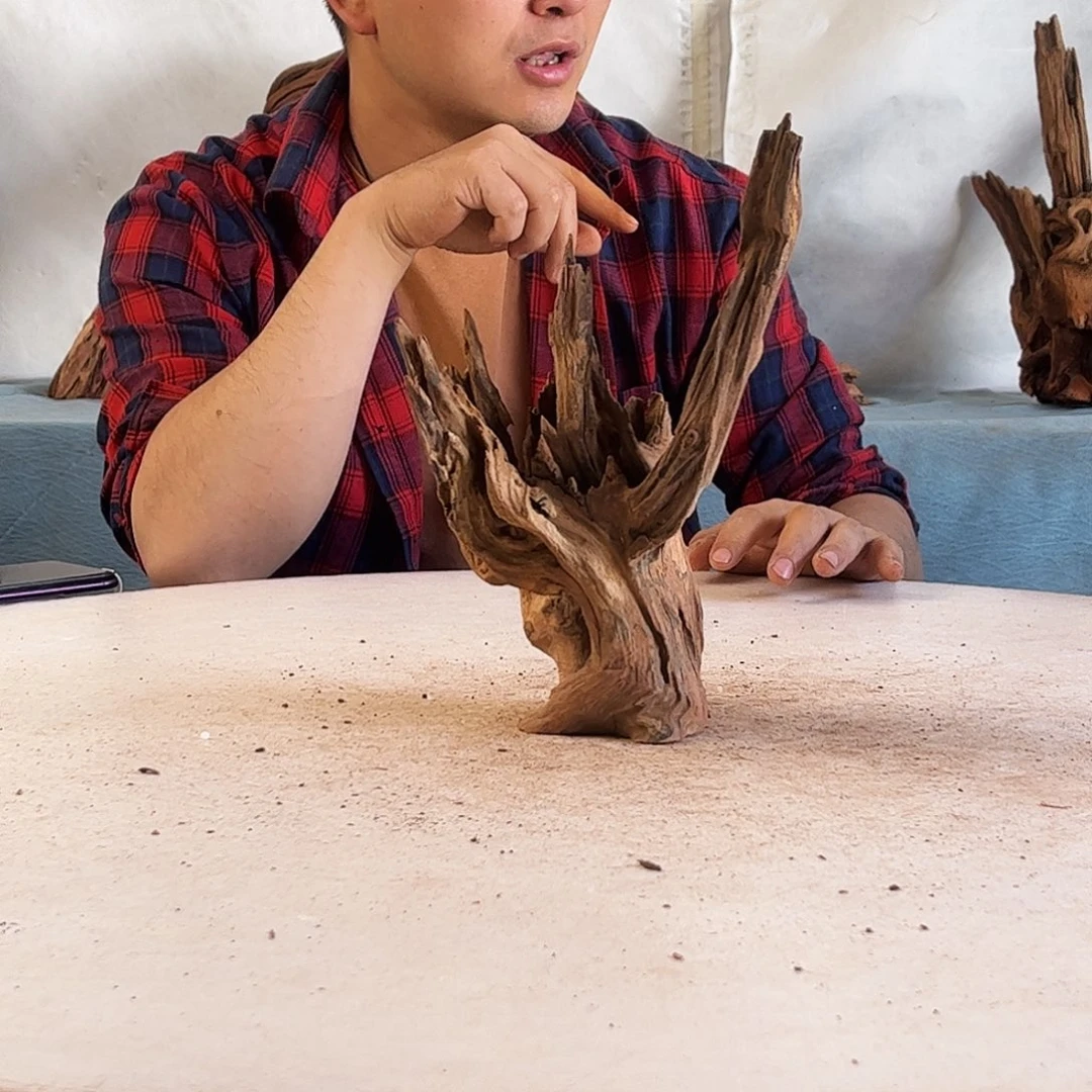 沉木造景爬宠造景