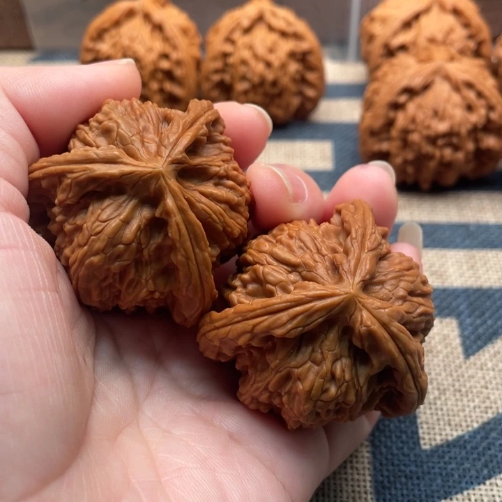 大****核桃白狮子44核桃