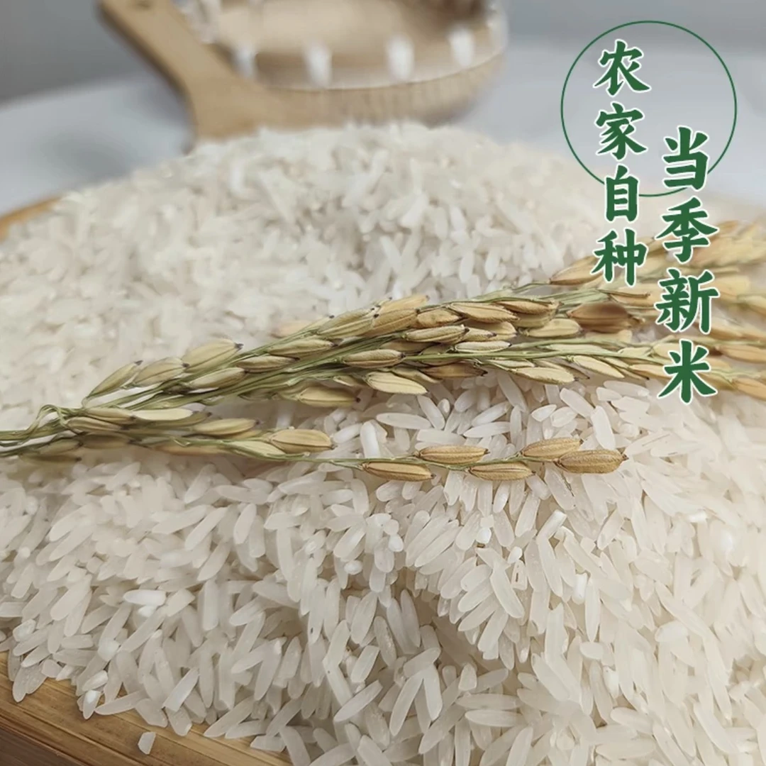 湖南2024年农家长粒香当季农家米