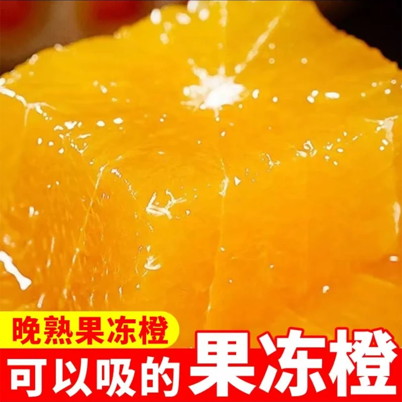 四川青见果冻橙果王10斤当季新鲜柑橘水果手剥橙橘子桔子整箱包邮