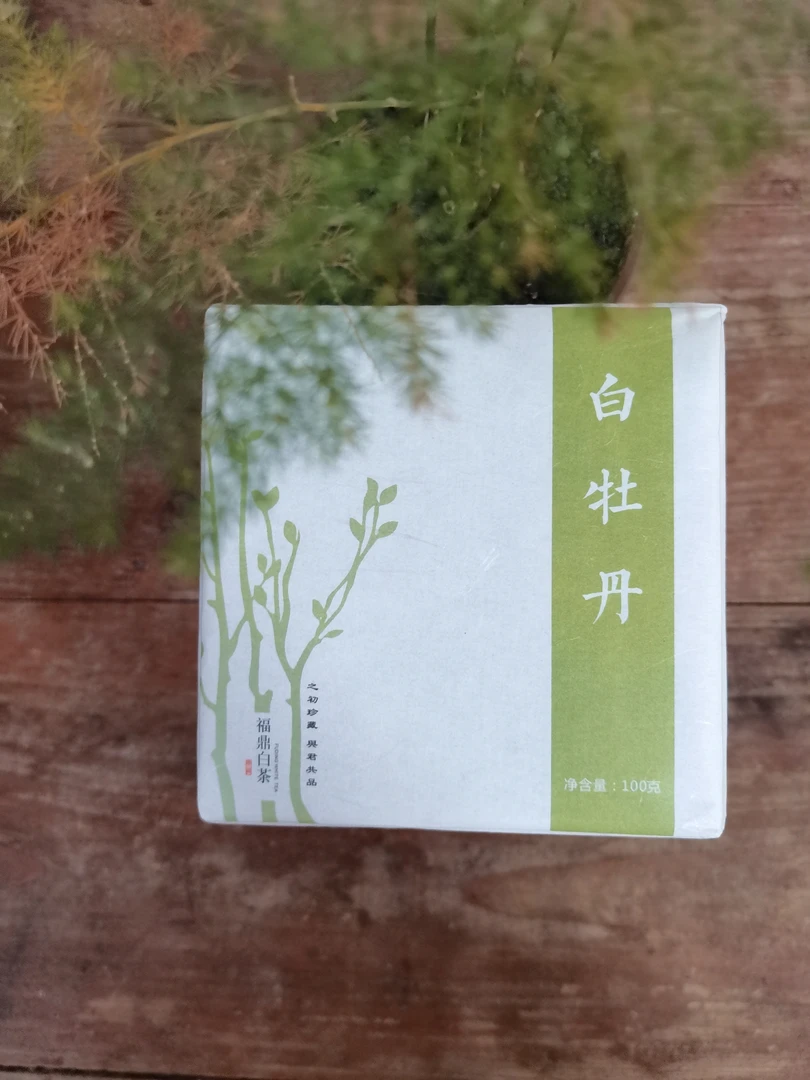 鼎翁2023年白牡丹方砖，高山老树，带给你不一样的香甜和耐泡