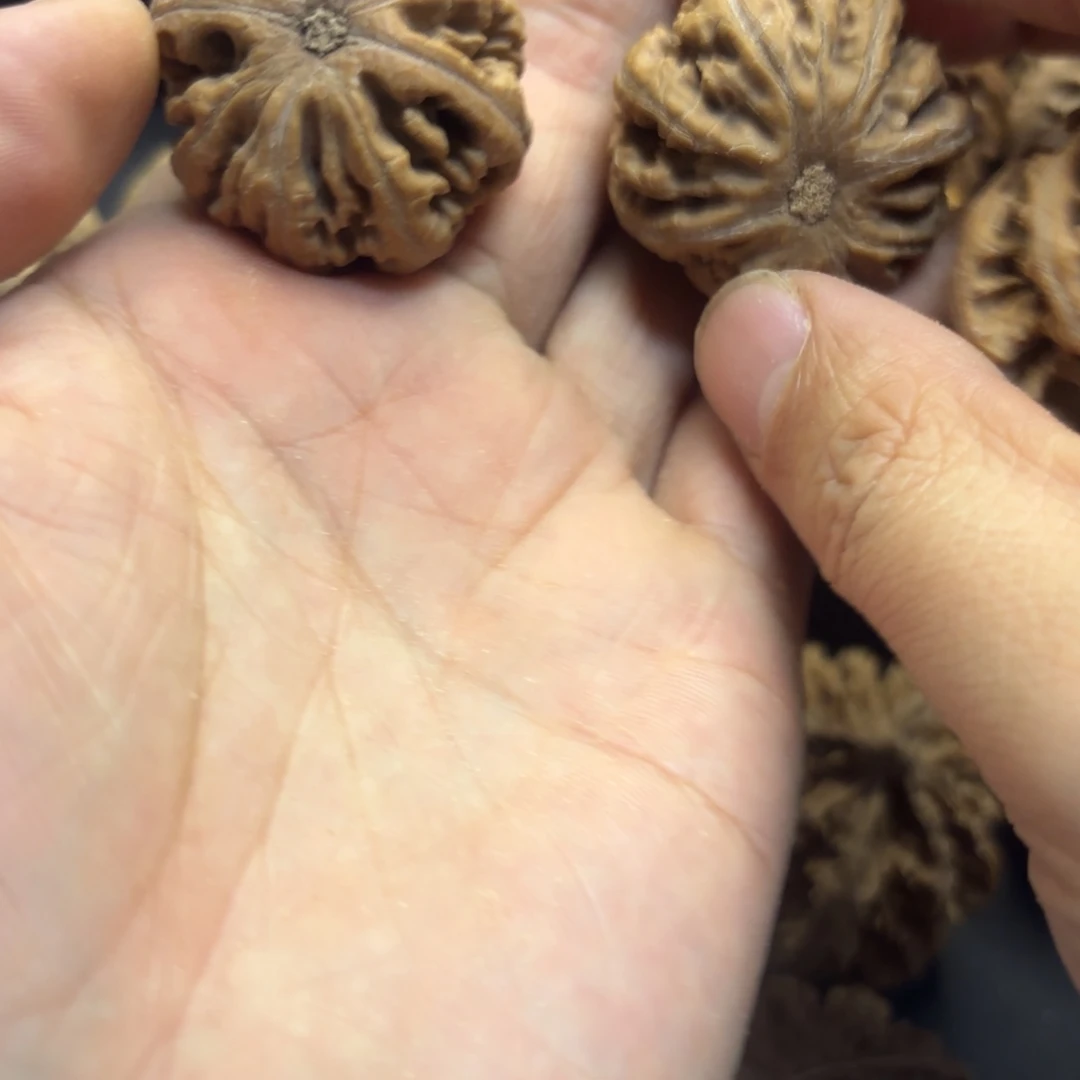 佳***美吊坠文玩核桃8866666666