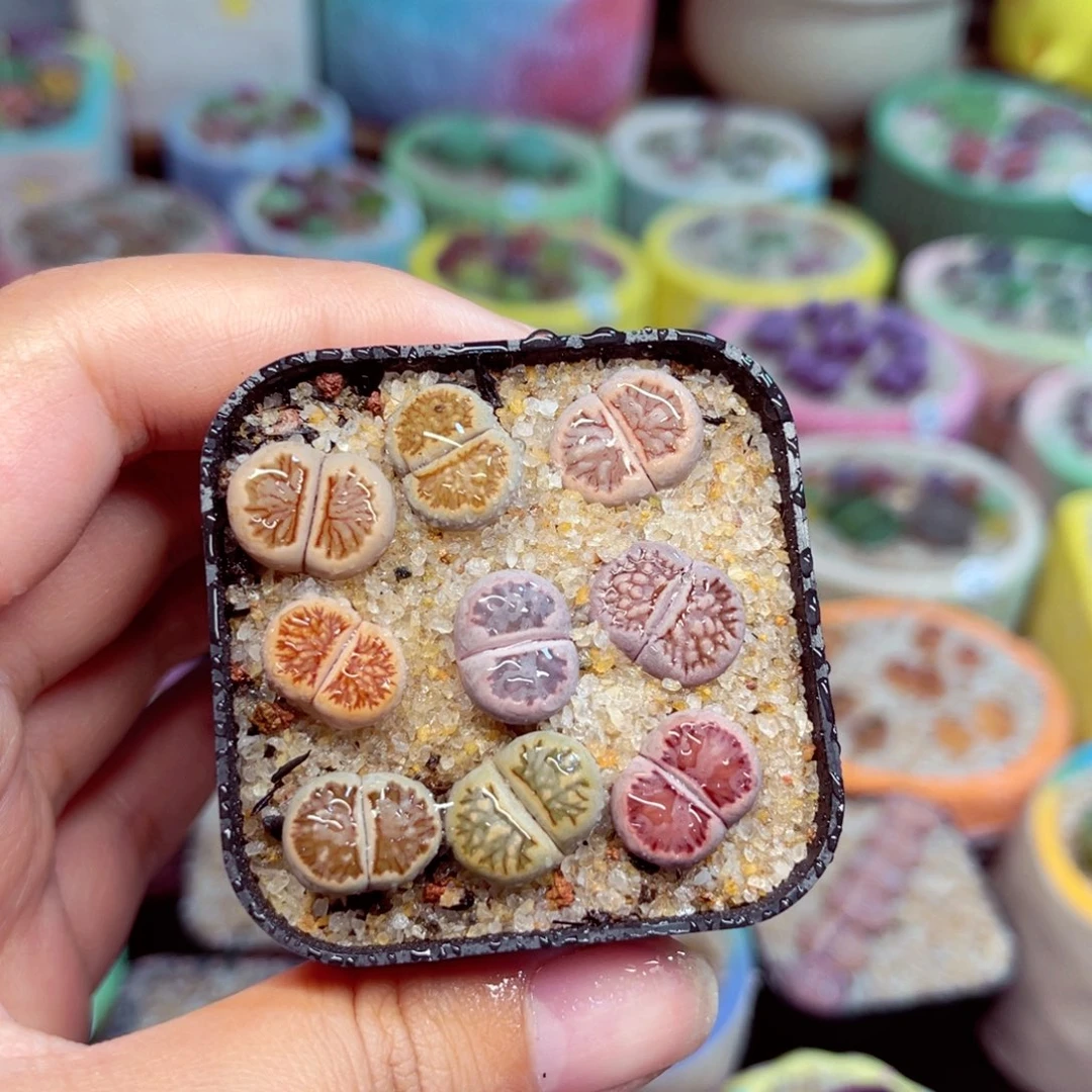 179。8888888888888888