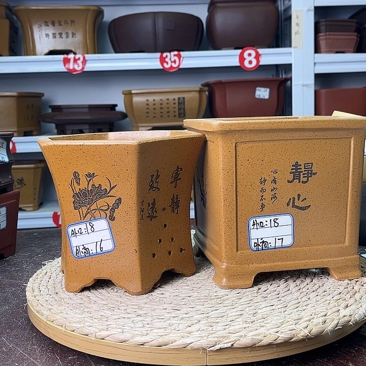 紫砂花盆你在一起