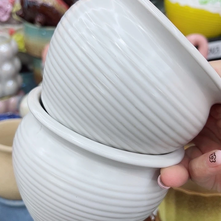 多肉植物陶瓷花盆