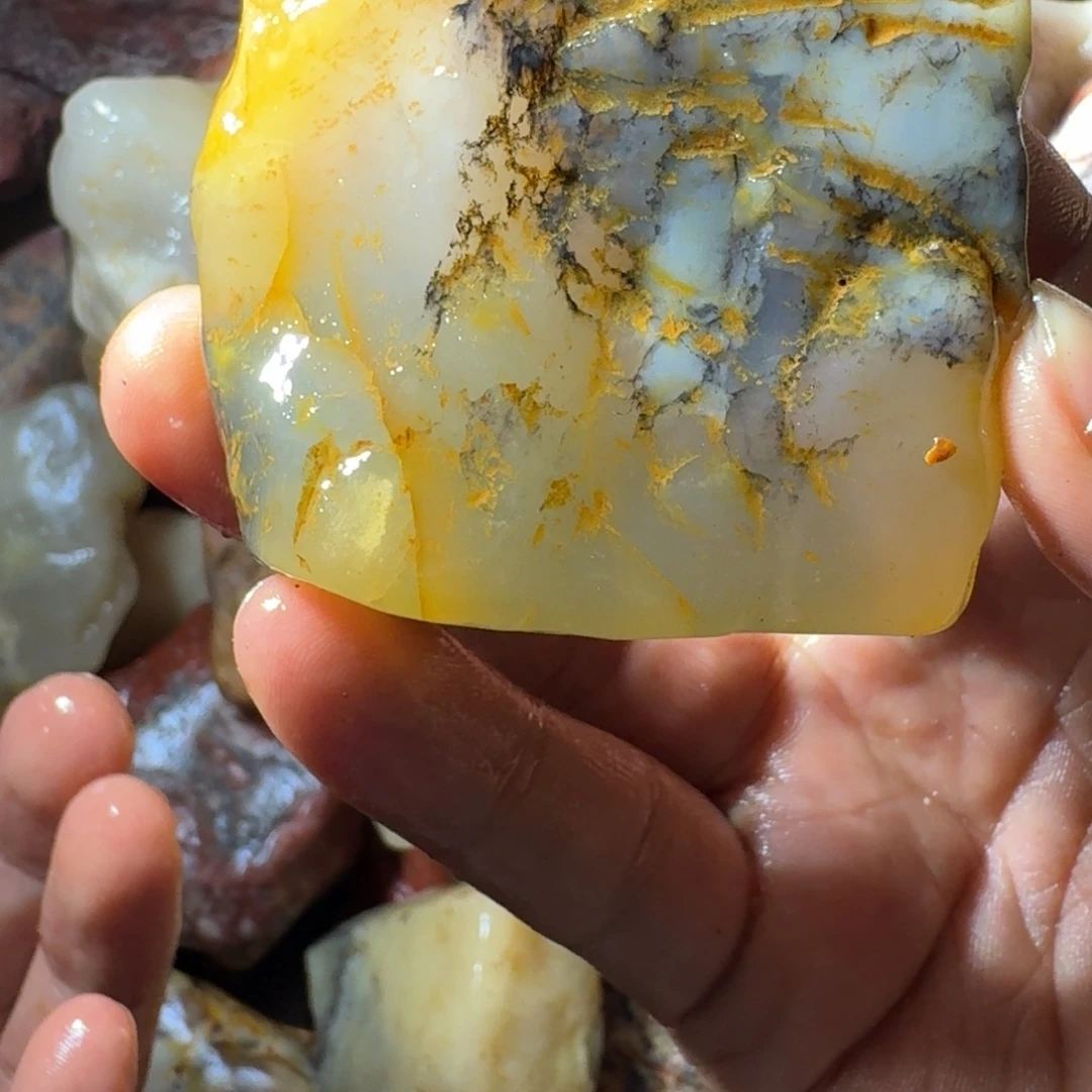 东***学寿山石8998888988