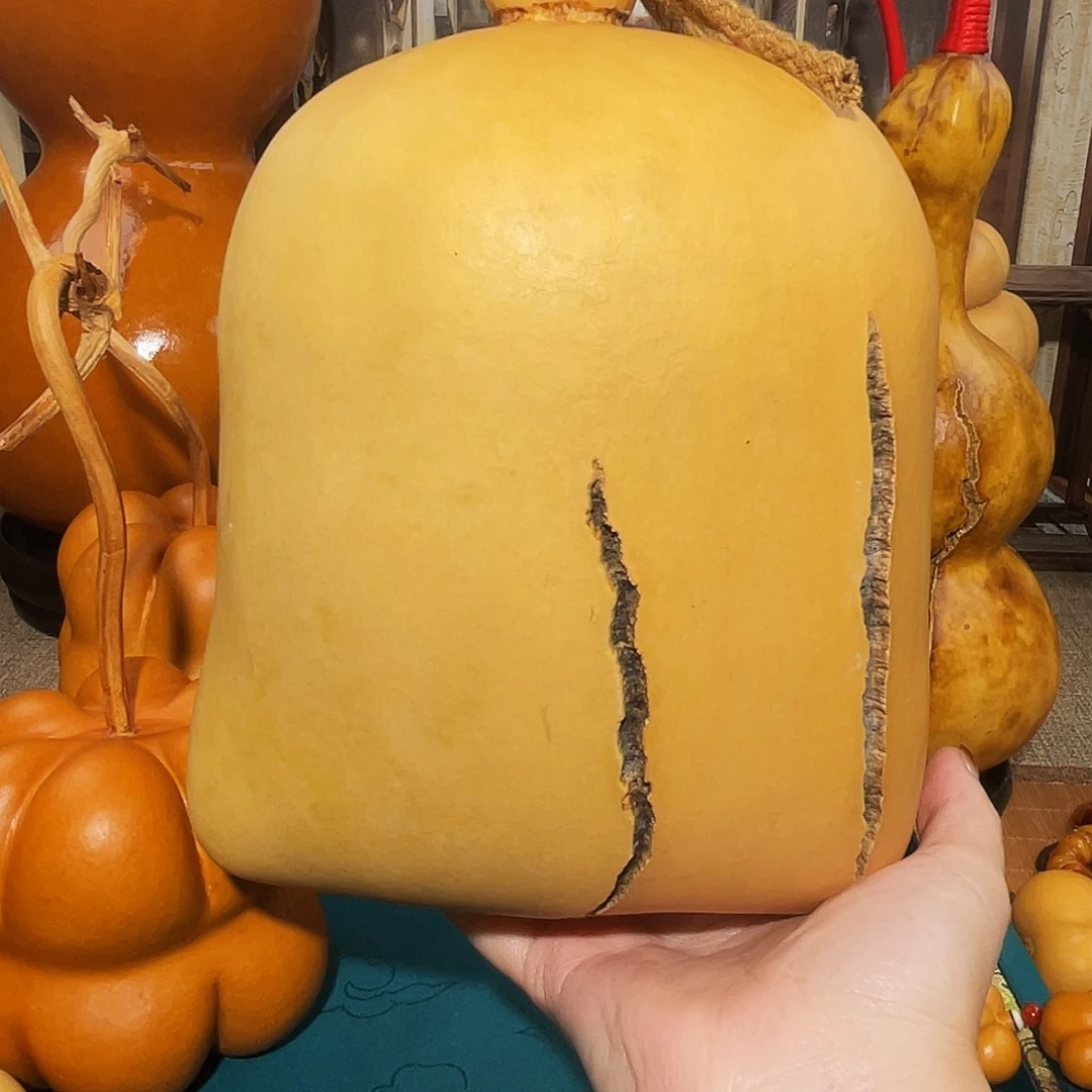 八**房葫芦呀呀呀呀呀呀呀呀呀呀呀呀