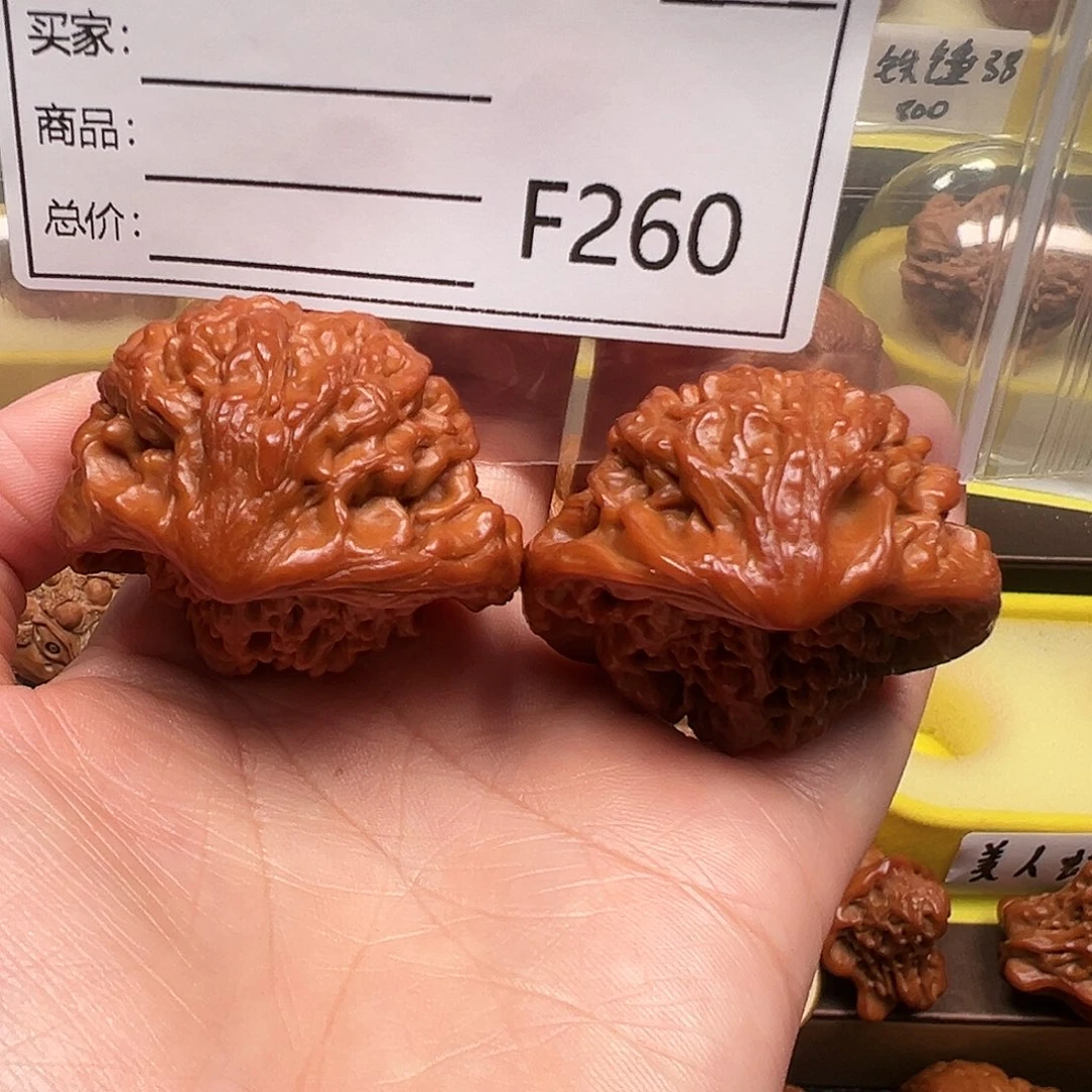 L*蛇王44蛇王蛇王蛇王