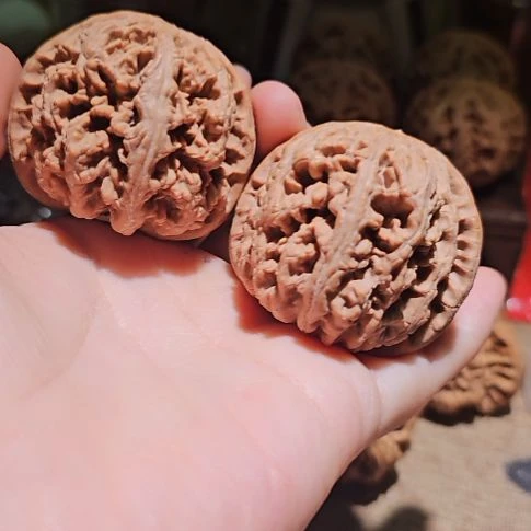 文玩核桃吊坠47粗筋