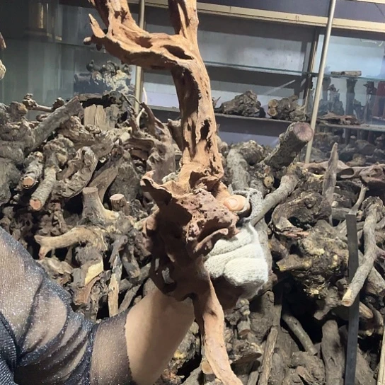 香榧木J****邦火琉璃的故事是毛料