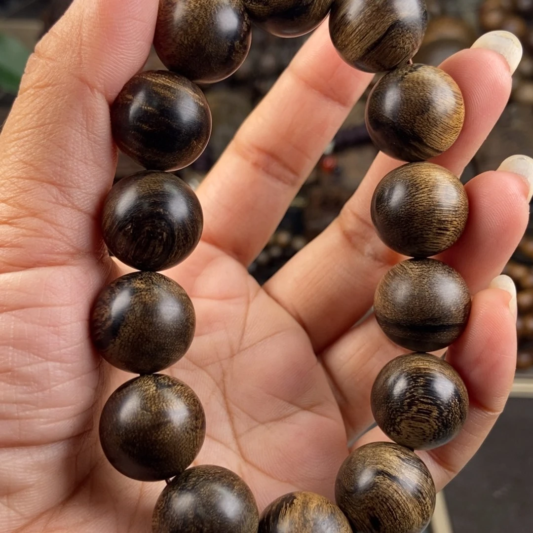 木王*越南芽庄留疤白虎斑