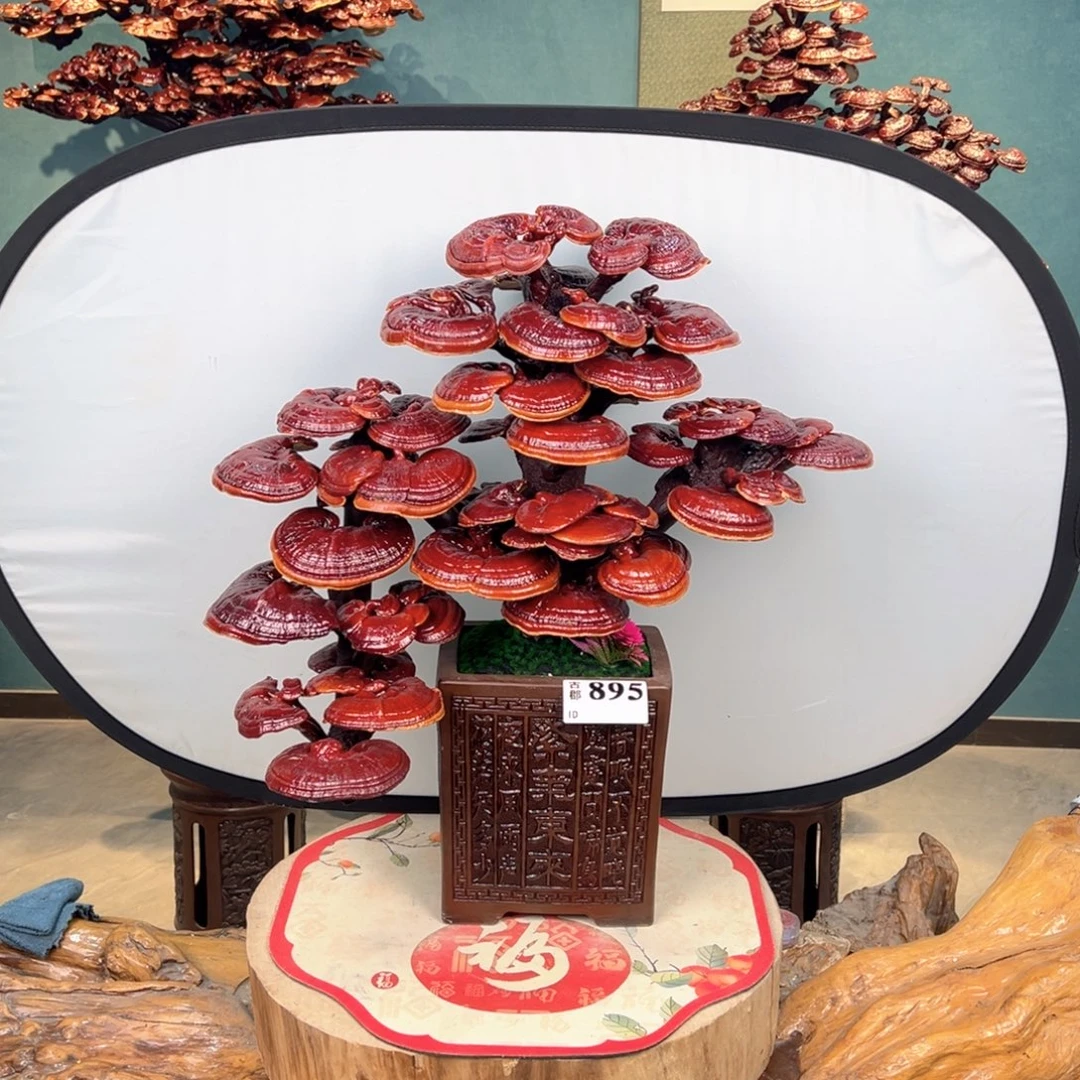 品***Q无花朵868888888888