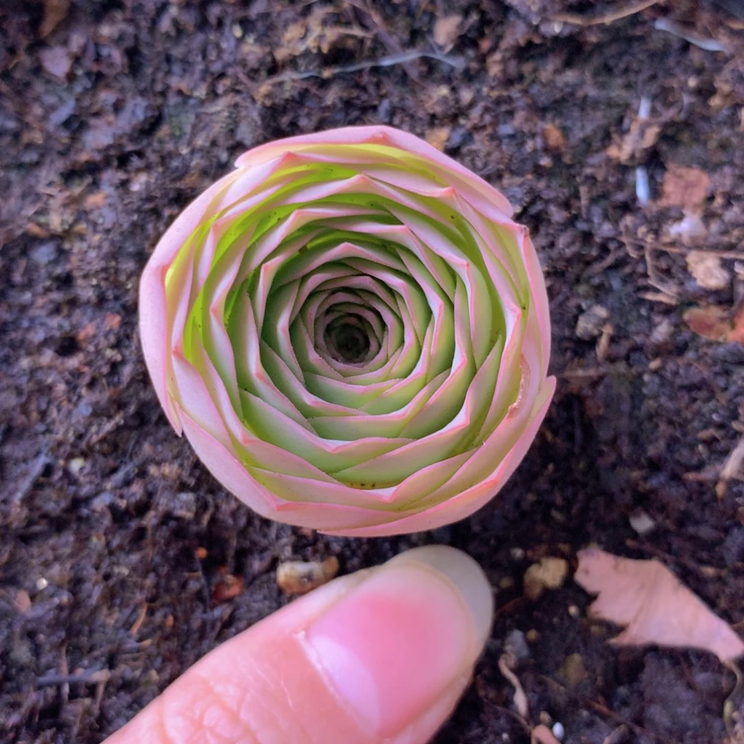 一物一拍追光者052