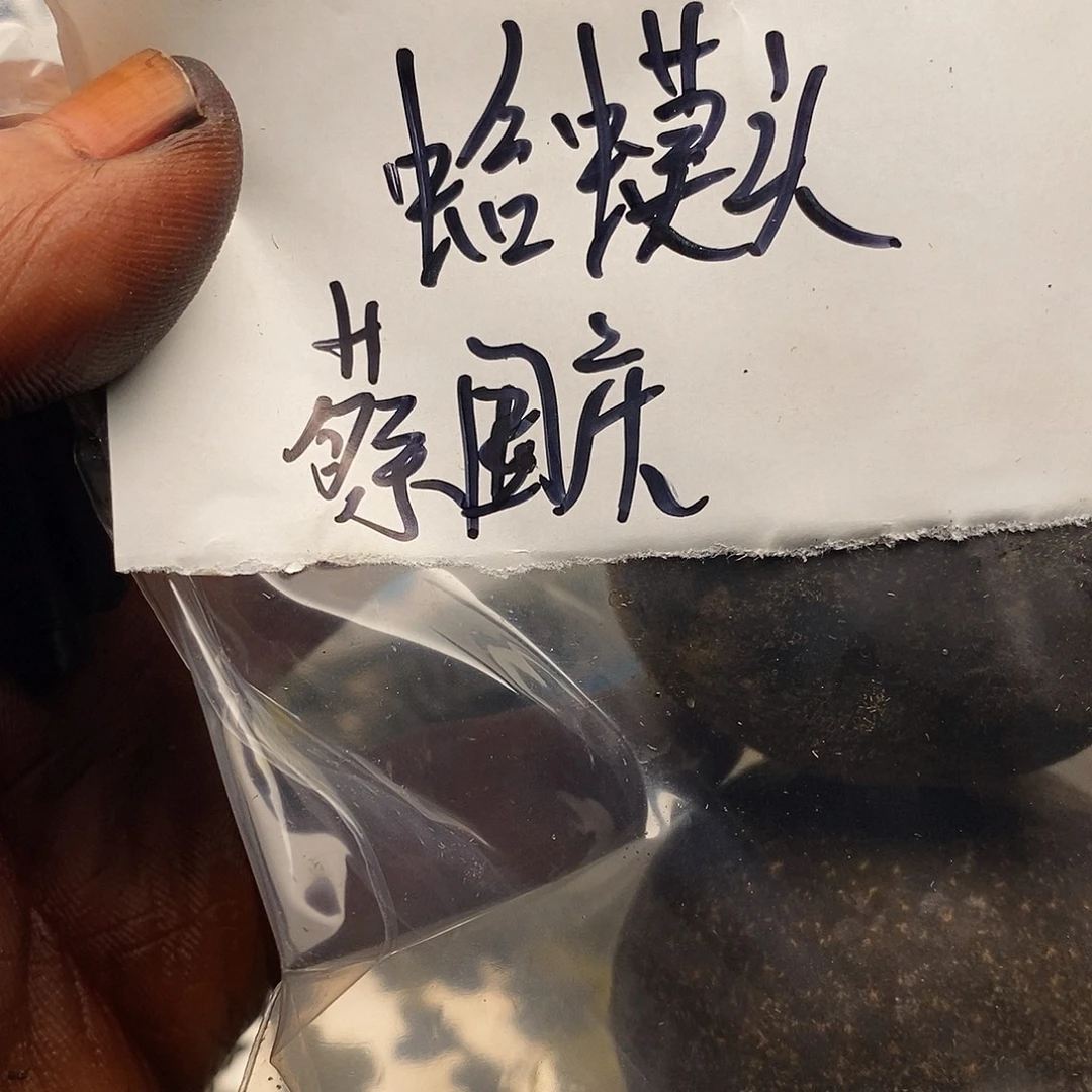 蔡***师出n你姐姐男男女女好