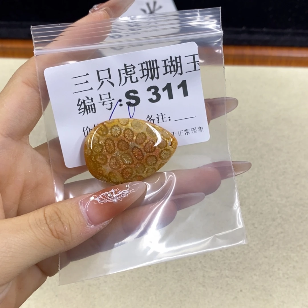 硅化珊瑚（珊瑚玉）1足银镀金镶嵌开****Y
