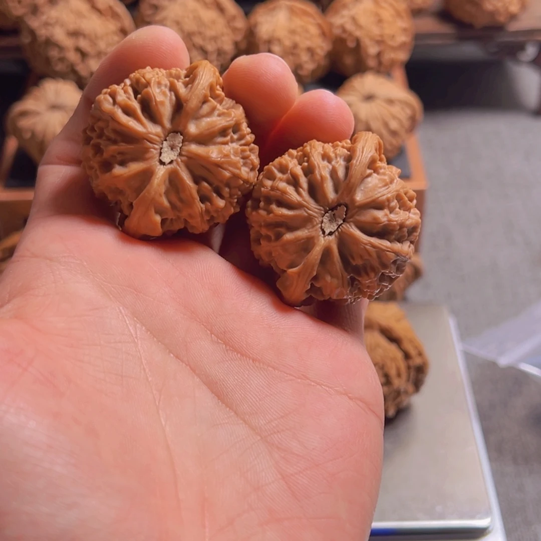 文玩核桃把件月****天42宫灯