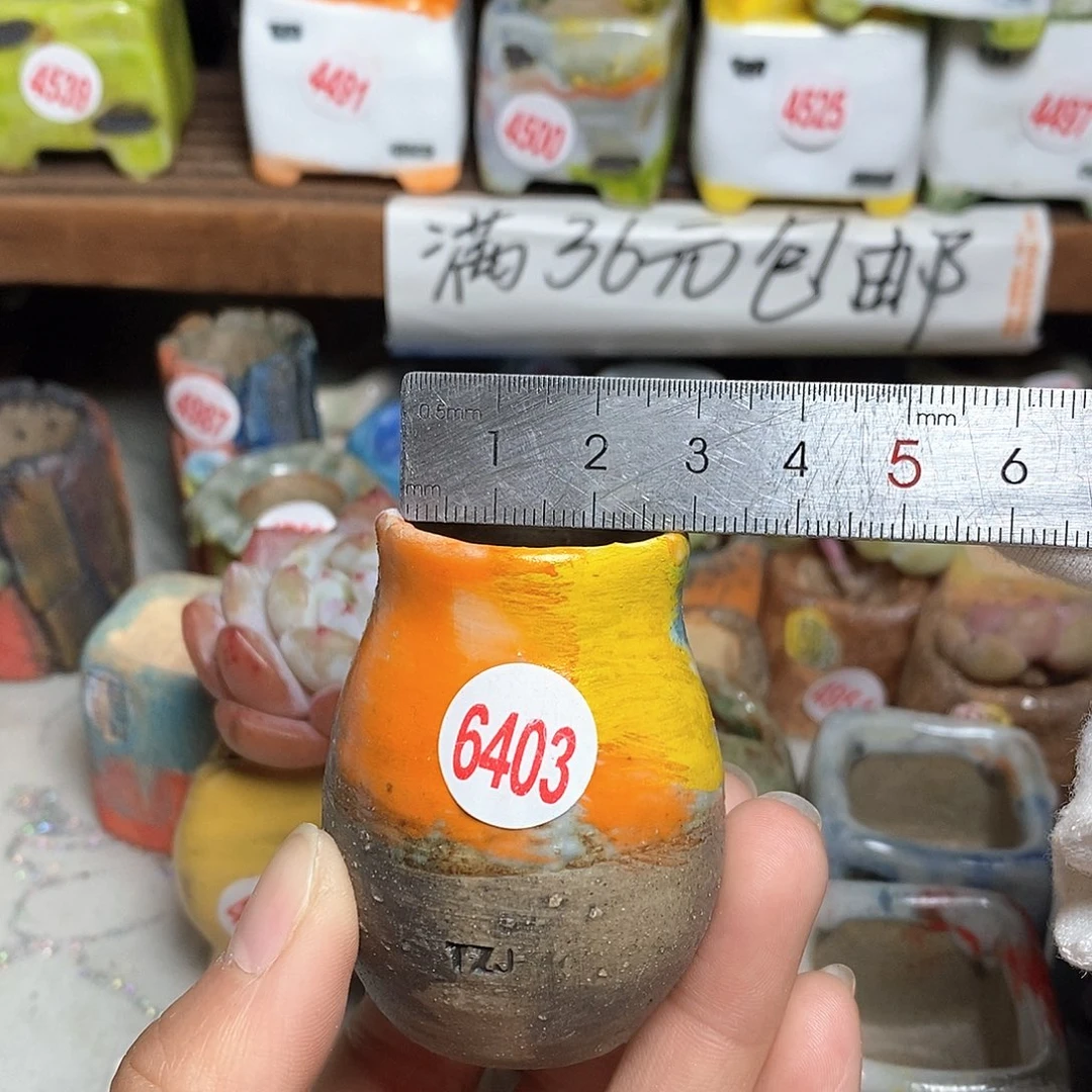 红陶拍5送一个小