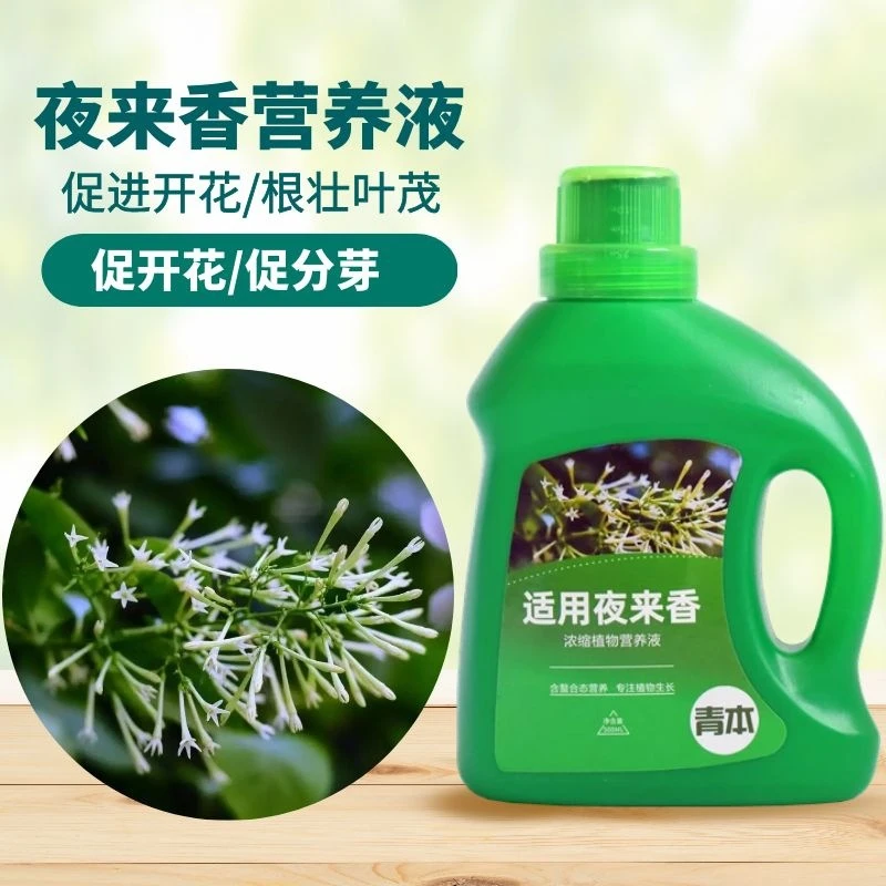 夜来香专用营养液肥料盆栽九里香花卉植物花