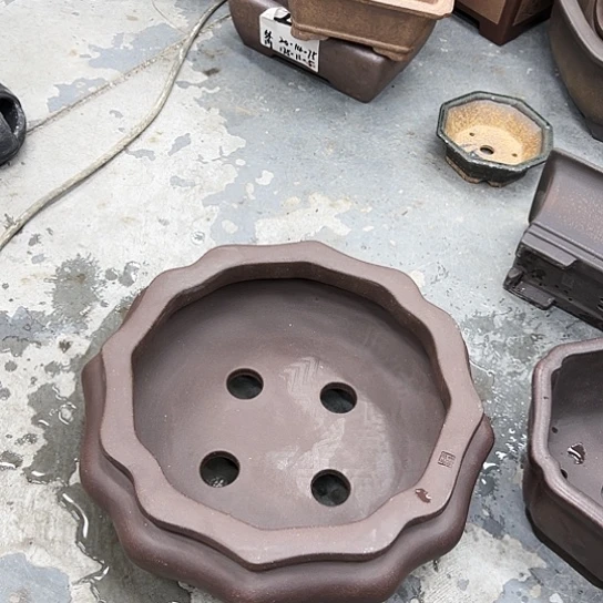 紫砂花盆中香气浓重且