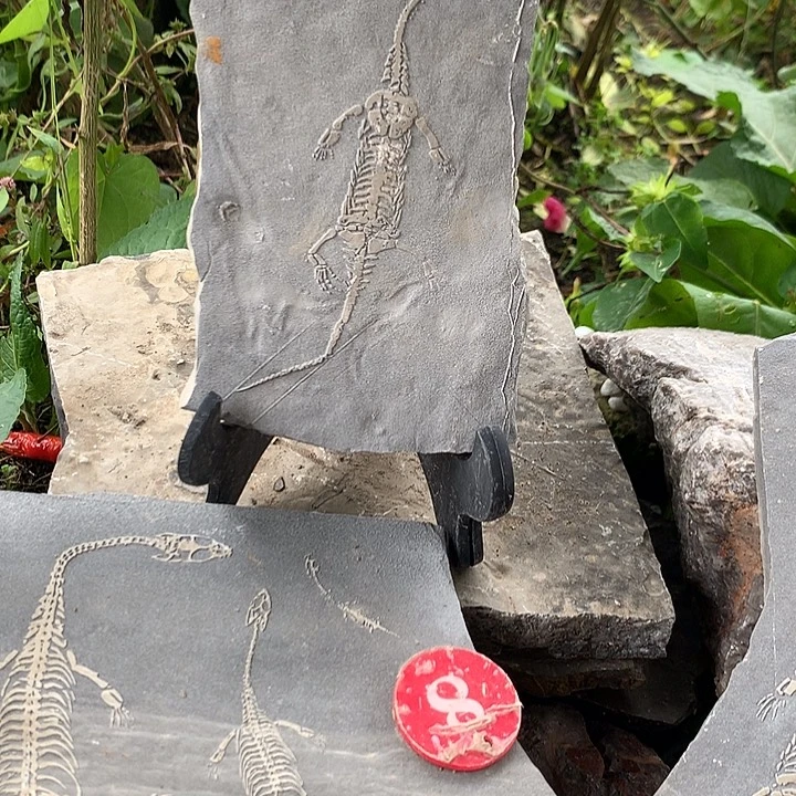 石材贵州888888888