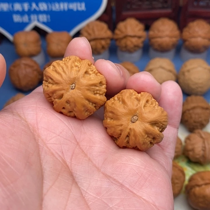 文玩核桃把件肉龙