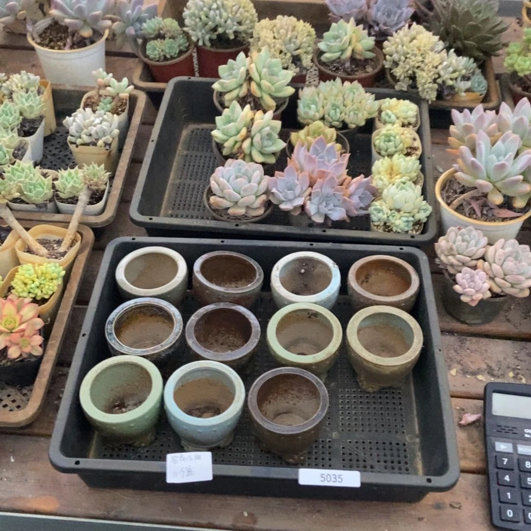 5035号盆11个农民工小张专拍中通