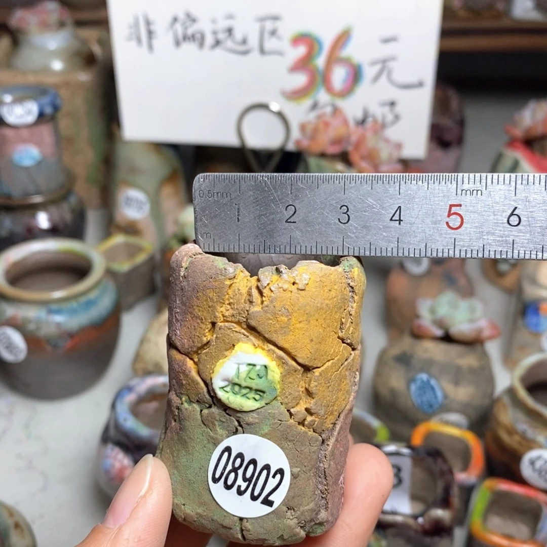 花盆拍3送一个小礼物