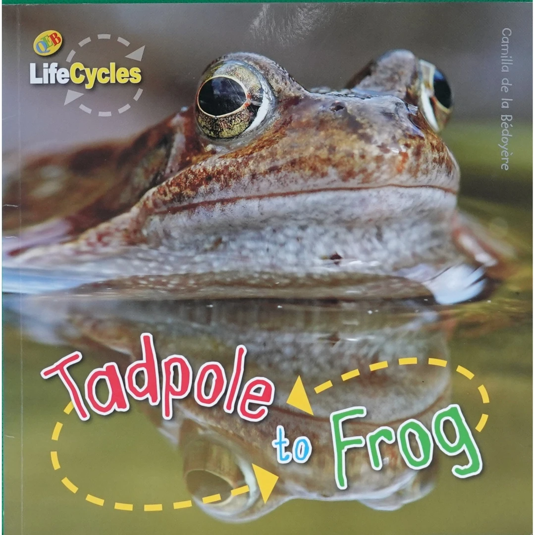 Children's books Tadpole to Frog byCamilla de la Bédoyère fr