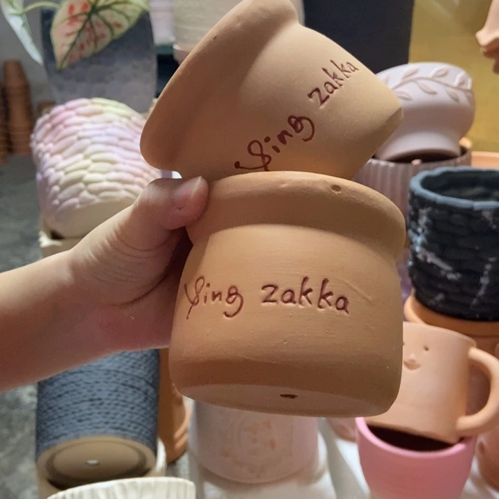 9×8红陶布丁盆 粗陶2个