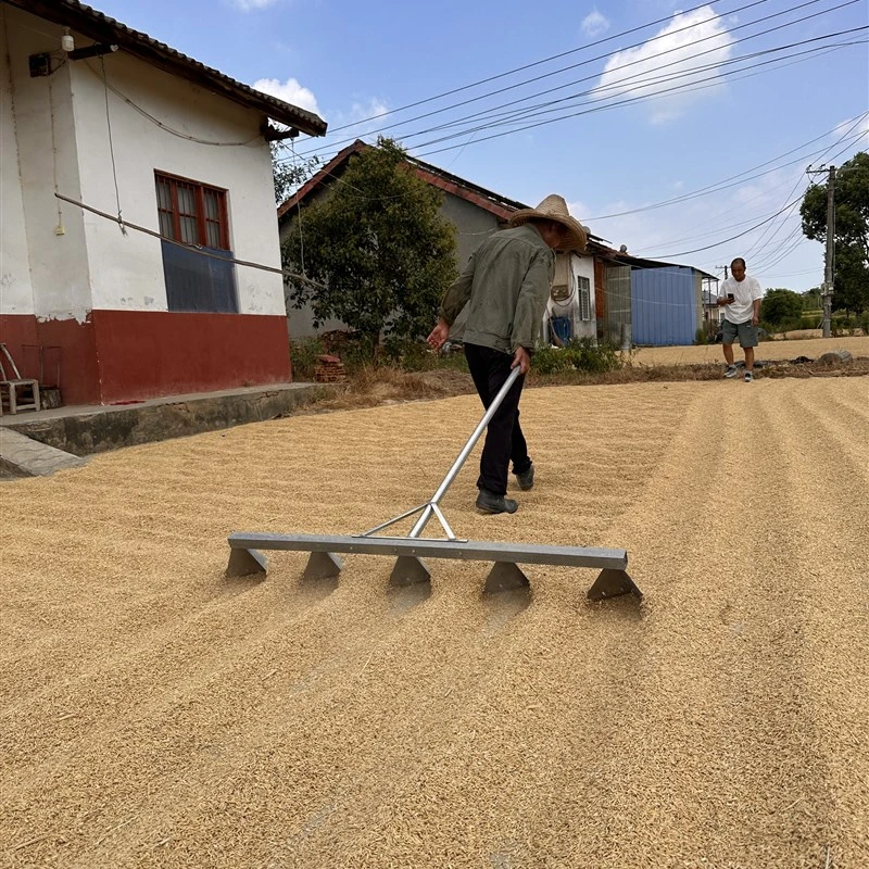 农用工具晒厚谷耙B子晒庄稼用尖齿耙
