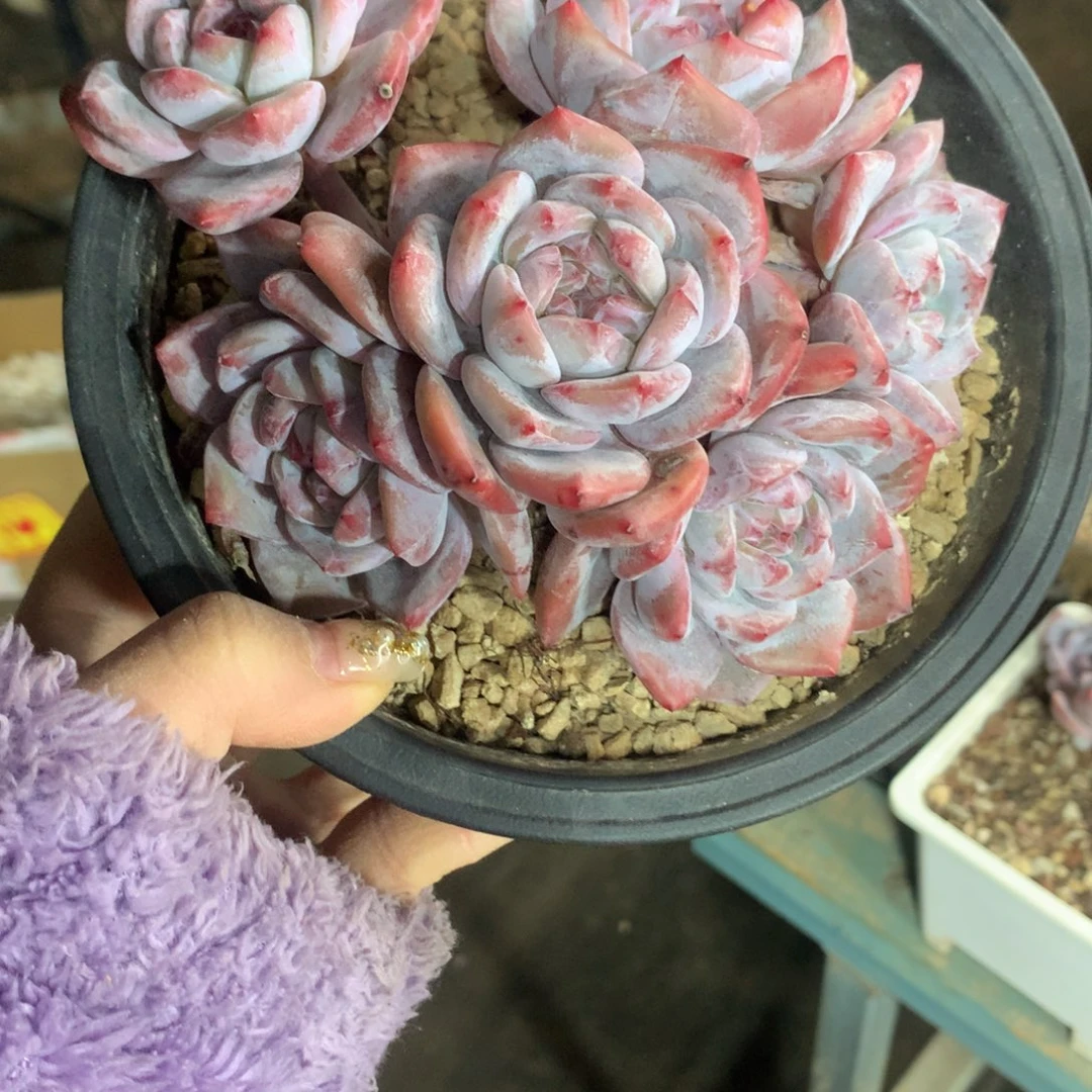 哈哈哈哈哈哈哈哈哈