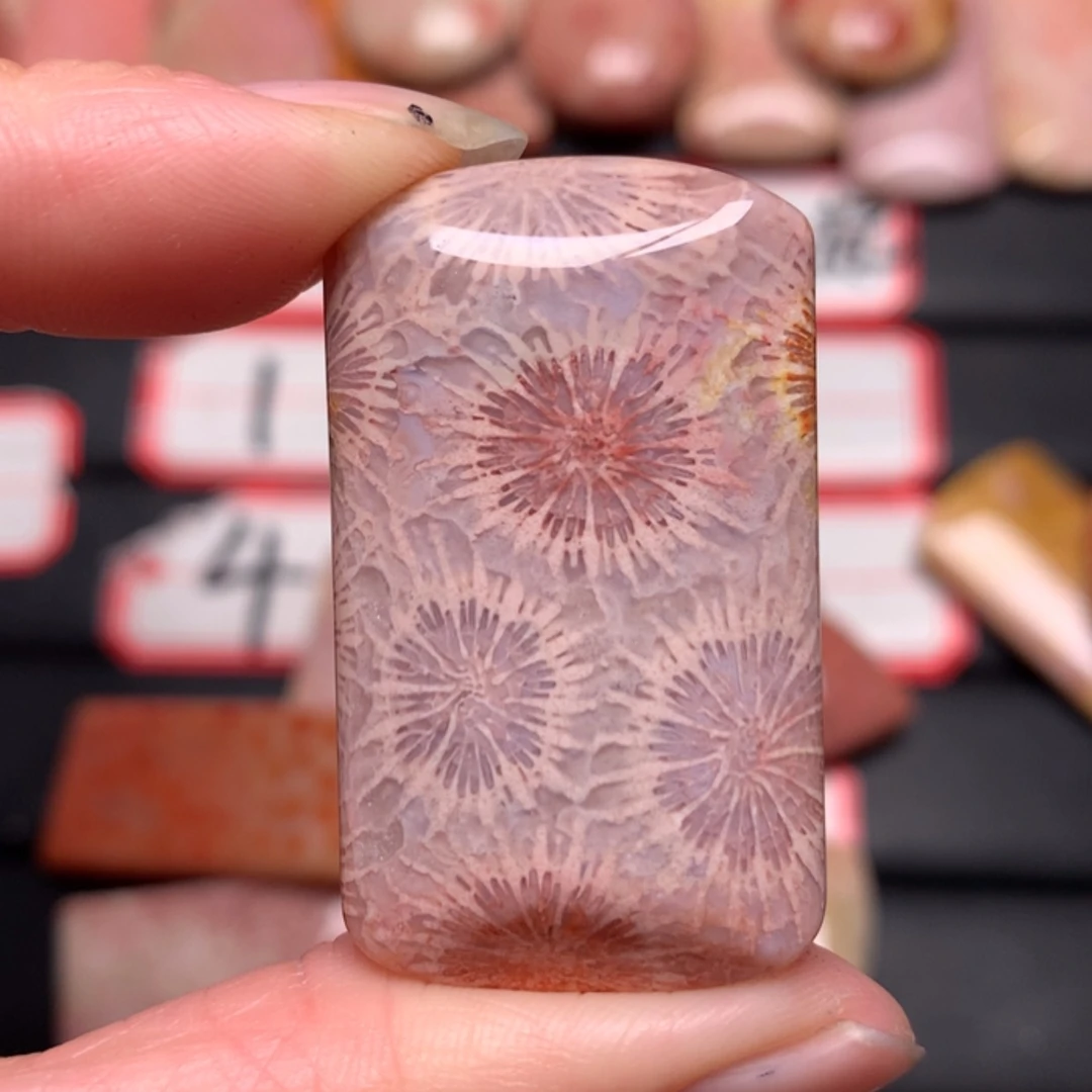 【闪购商品】硅化玉颈饰未镶嵌爱****宝