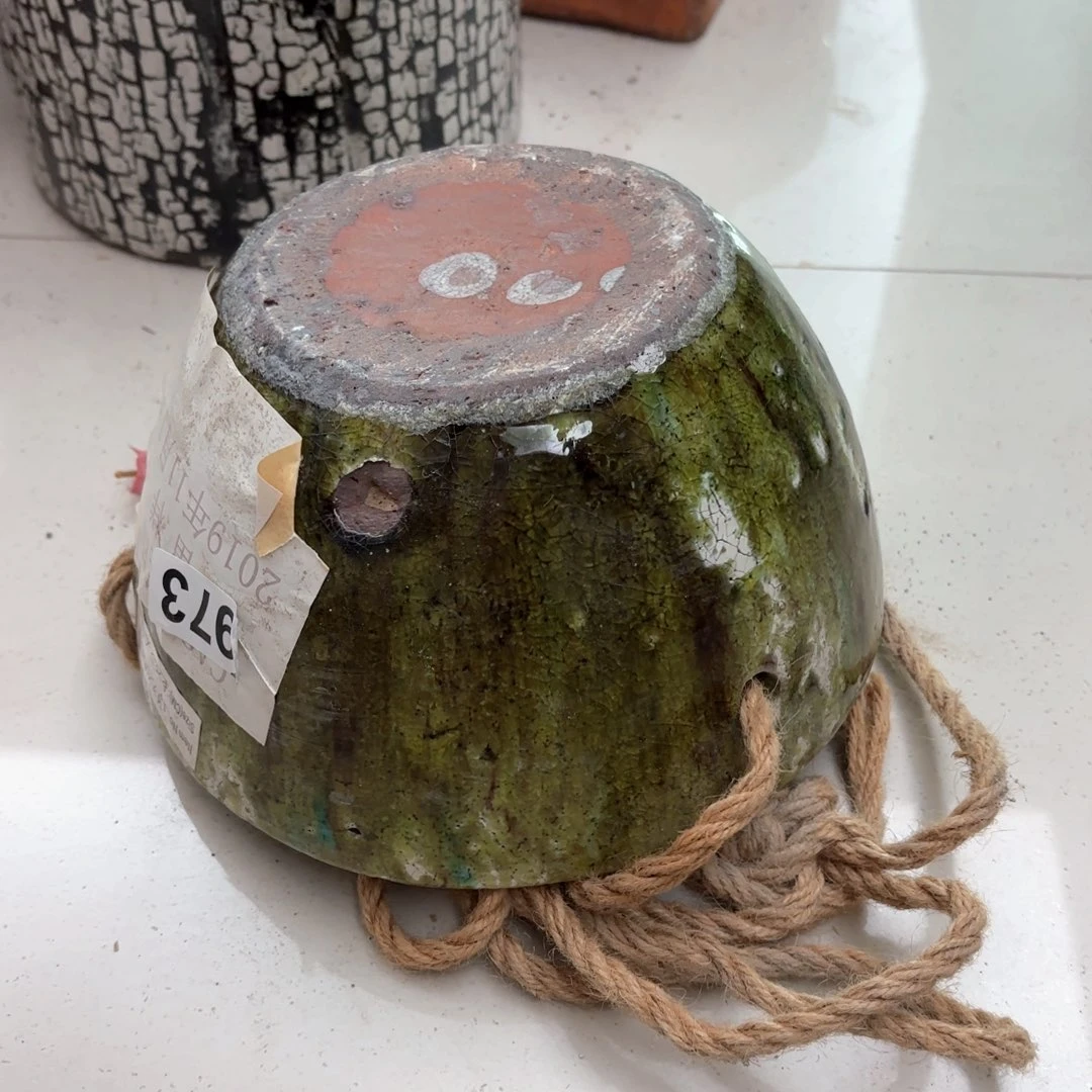 许纯的花房孤品973