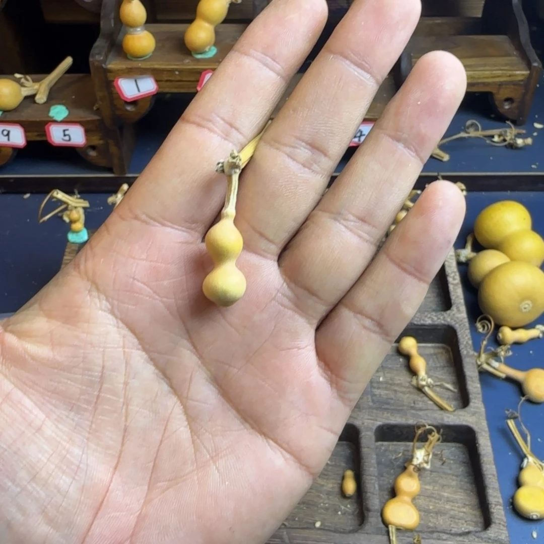 洋*洋我也是很喜欢这个节目的呢我们