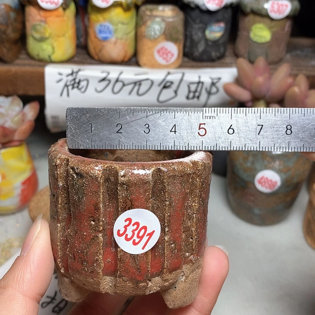 红陶拍5送一个小