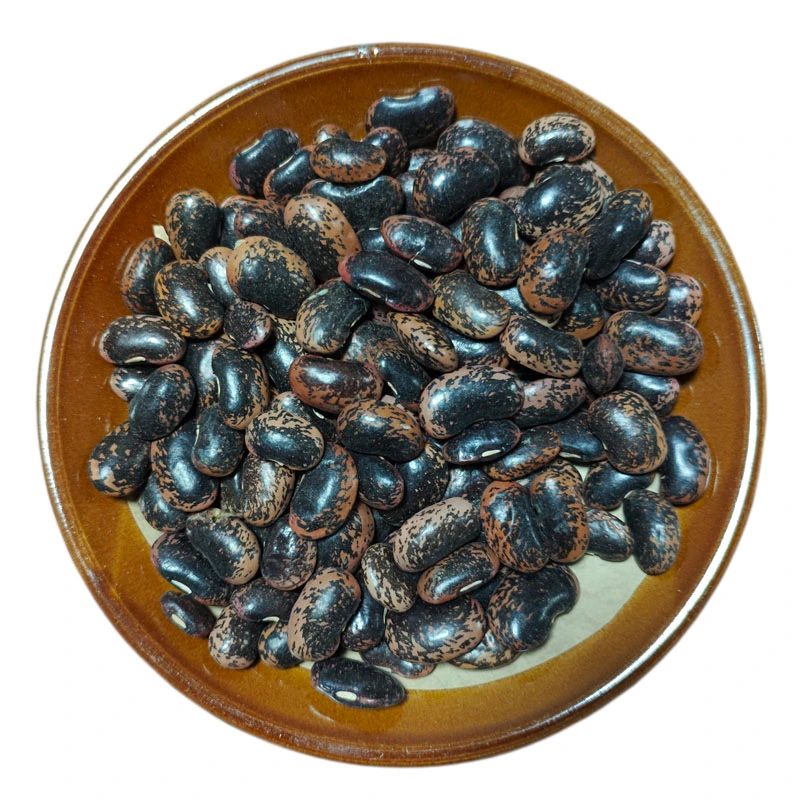 万源花萼山岩豆生长海拔1600米