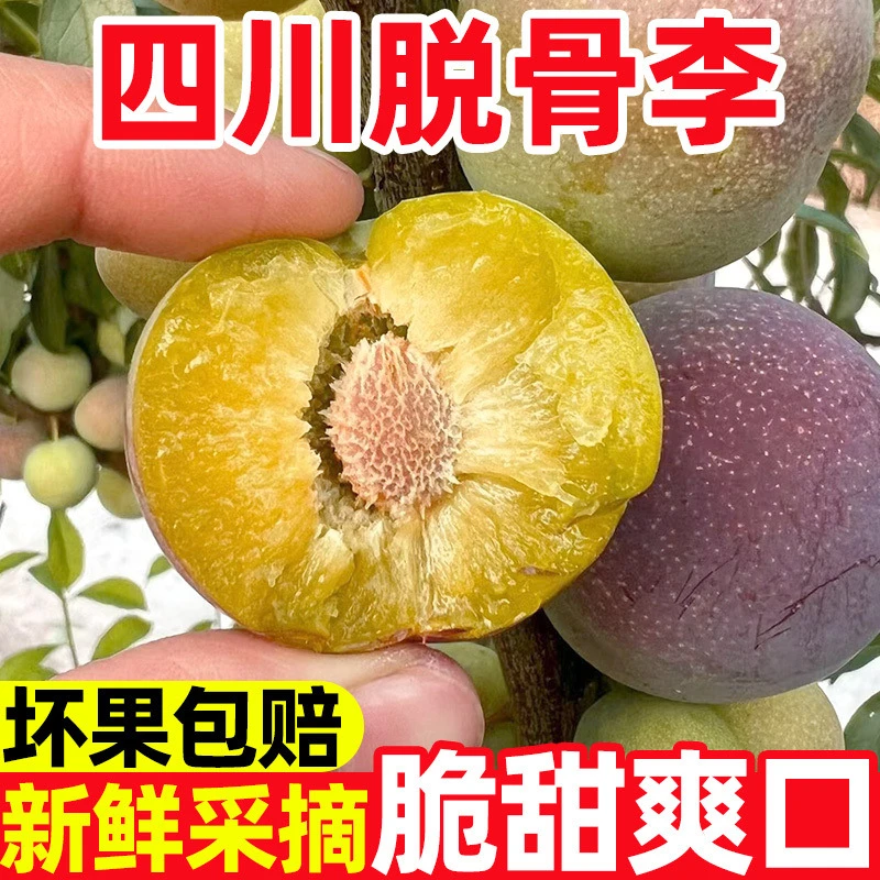 正宗四川脱骨李半边红茵红李应当季新鲜水果青红脆李孕妇整箱批发