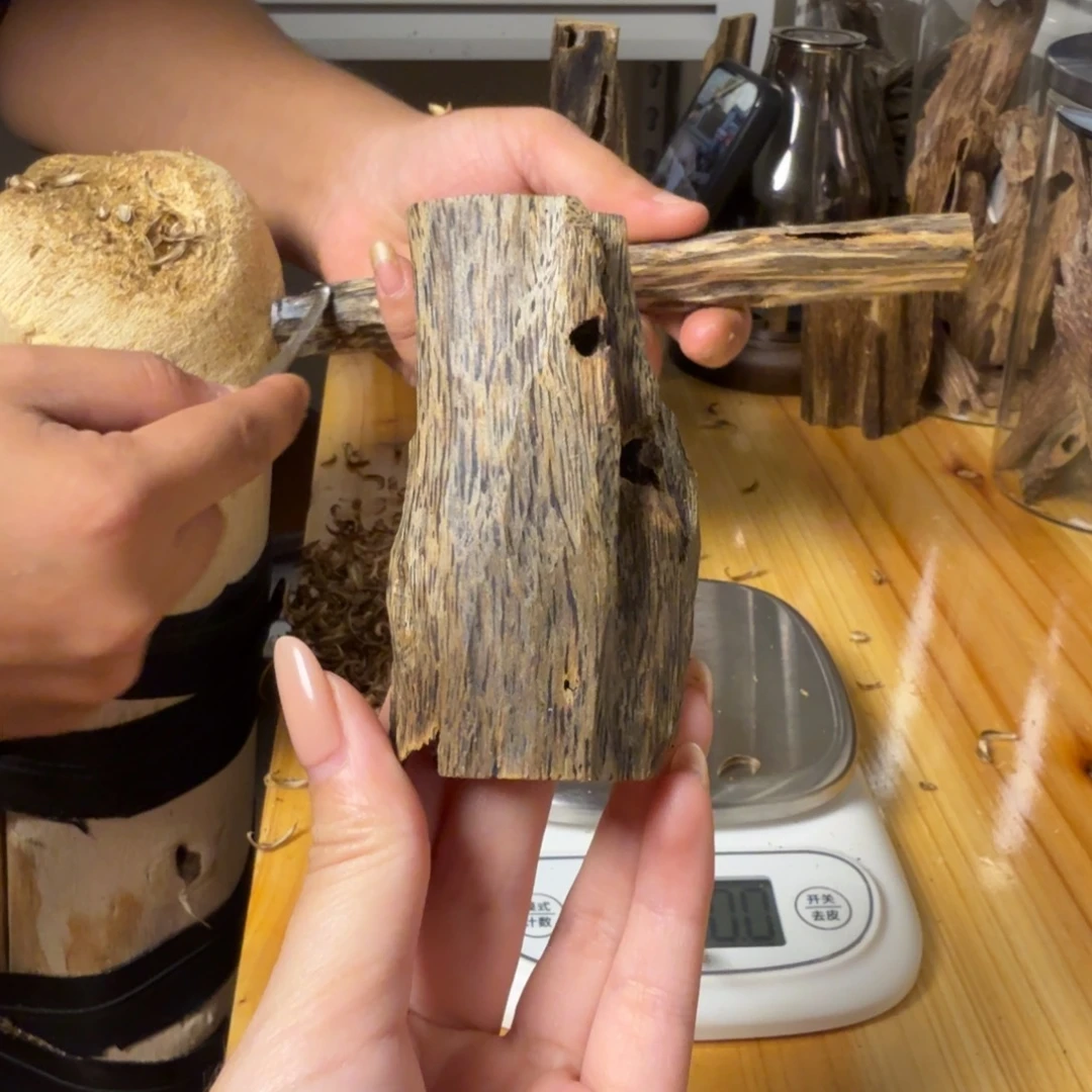 沉香白奇虫漏香24克