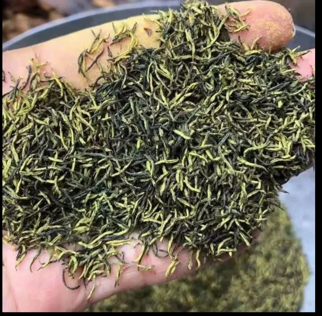 大山里的杜仲雄花