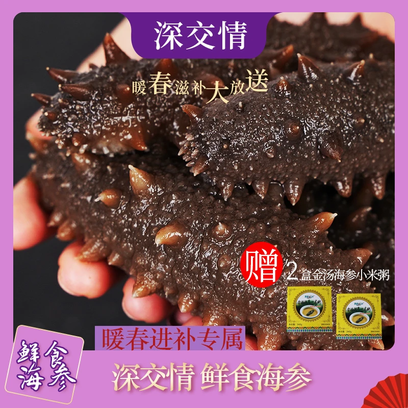 【海参】深交情低温鲜食（5-6头/斤）4斤装赠礼盒开袋即食海参