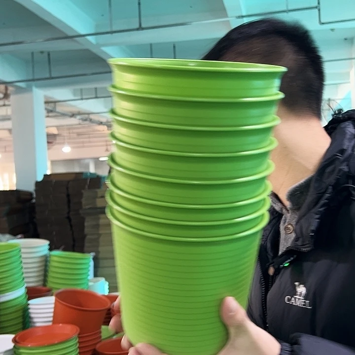 正品高陶口18高18果绿带托8只