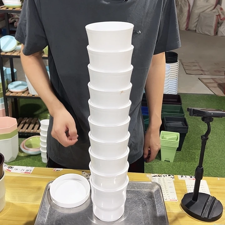 特价竹节口10高10米色带托10只