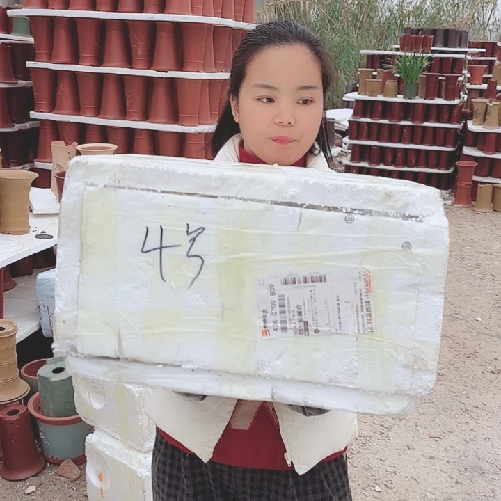 花盆紫砂宜兴紫砂精品花盆