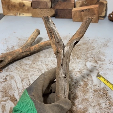 大果紫檀（缅甸花梨）N*